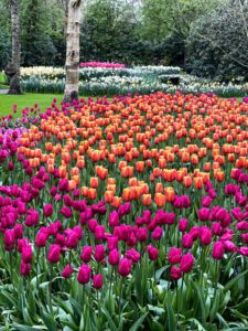 Keukenhof Botanical Gardens, The Netherlands