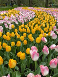 Keukenhof Botanical Gardens, The Netherlands