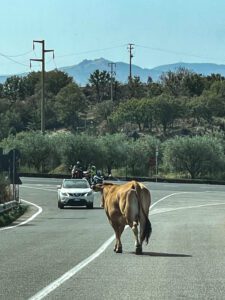 A Sicilian stand off