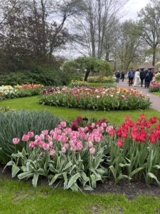 Keukenhof Botanical Gardens in the Netherlands