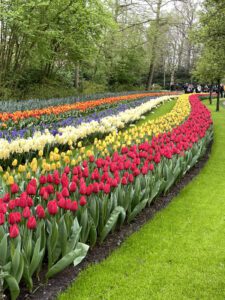 Keukenhof Botanical Gardens in the Netherlands