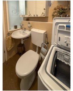 Split Apartment Bathroom