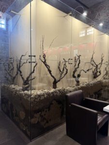 Inside Stina Winery